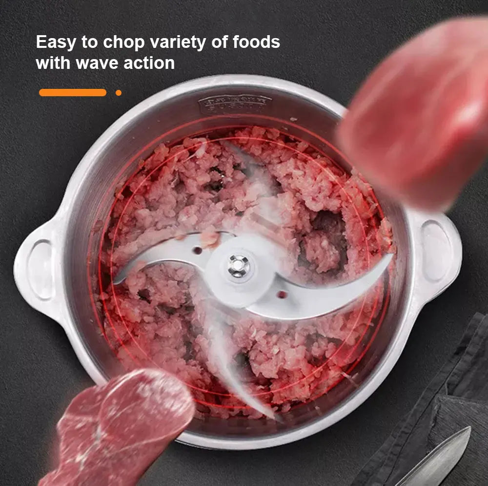 BioloMix 2-Gang-Fleischwolf, 500 W, Edelstahl, 2 l Fassungsvermögen, Fleischwolf, Prozessor, Slicer für den US-Markt, 110 V