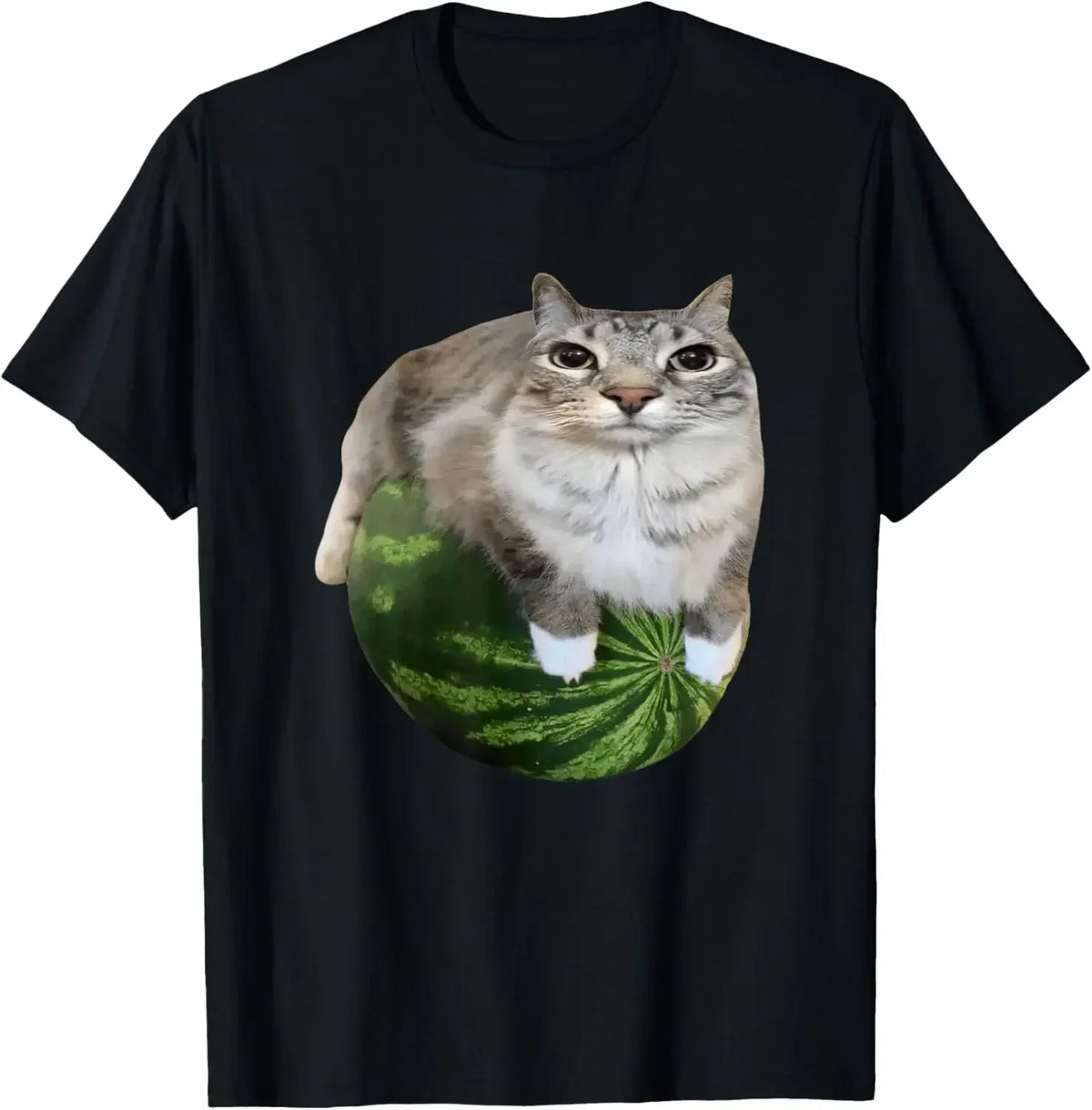 90er Jahre Y2k Watermelon Cat Silly Cat Meme T-Shirt Ein urkomisches Watermelon Print Shirt ist ein stilvolles Top-T-Shirt für Damen