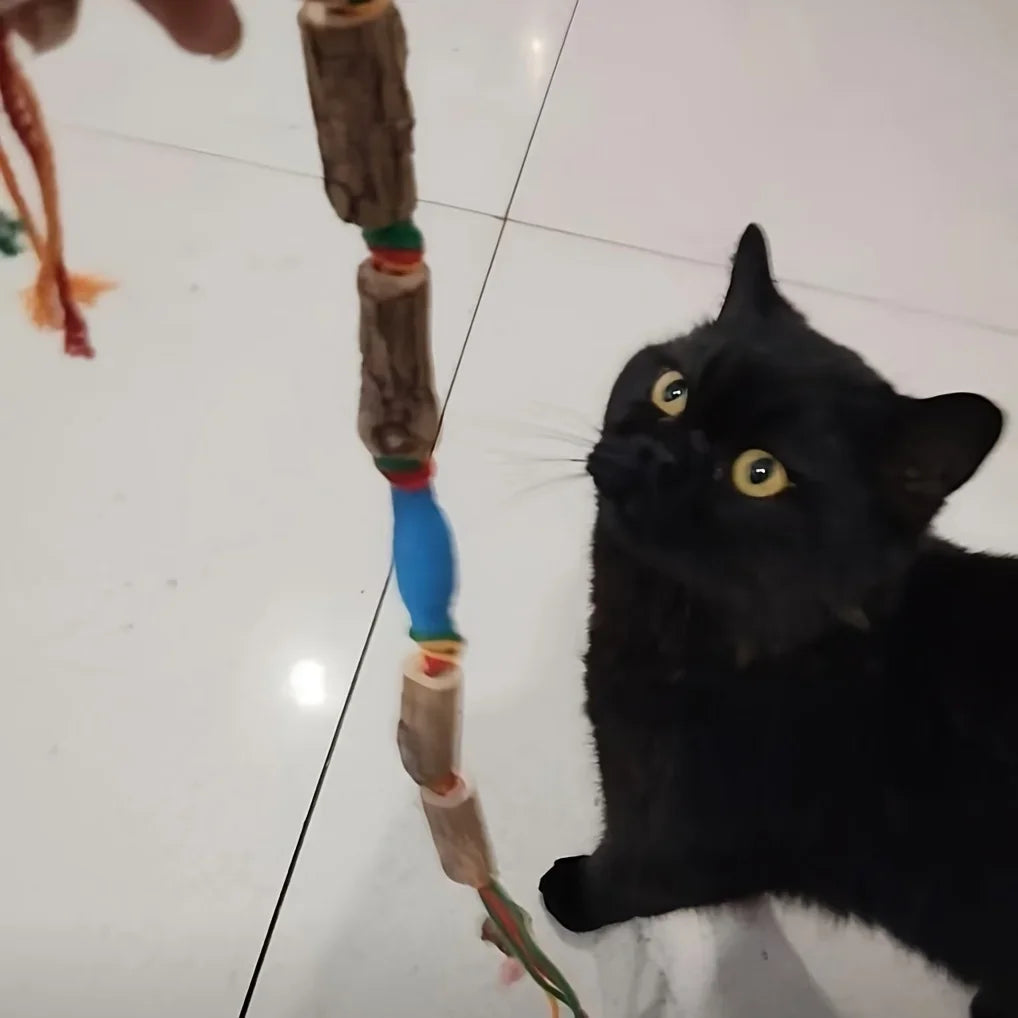 2-teiliges Spielzeug, das Katzen spielt anzieht – ein natürliches Katzenspielzeug aus Seil, das zum Kauen und zur Zahnpflege verwendet wird