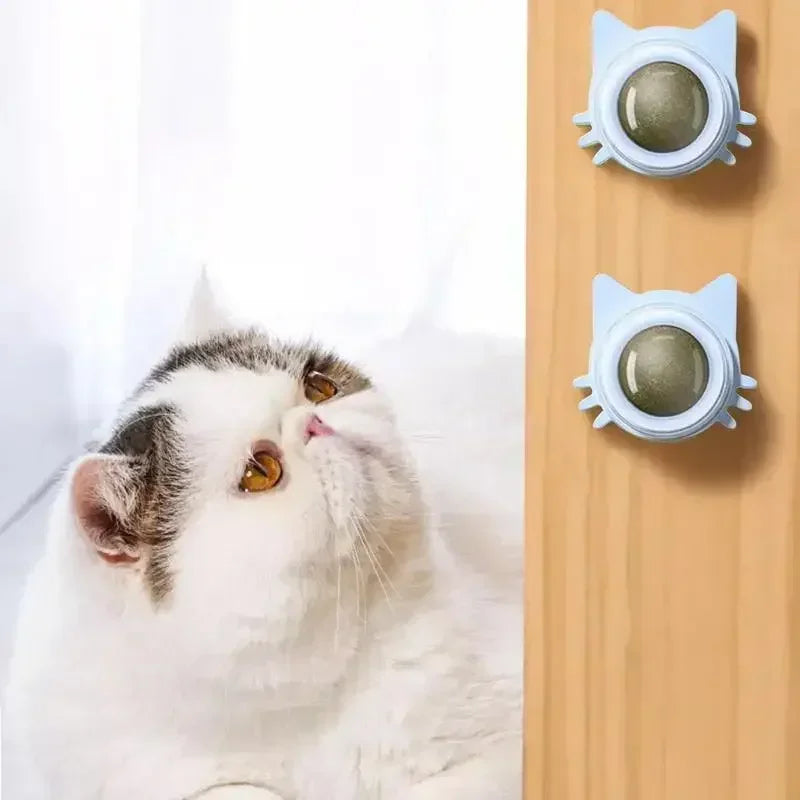 Katzenminze-Spielzeug für Katzen, interaktiver Wand-Spin-Ball für den Innenbereich, natürliche Minze, verbessert die Verdauung, Appetit, Stimulans, Zahnpflege für Katzen