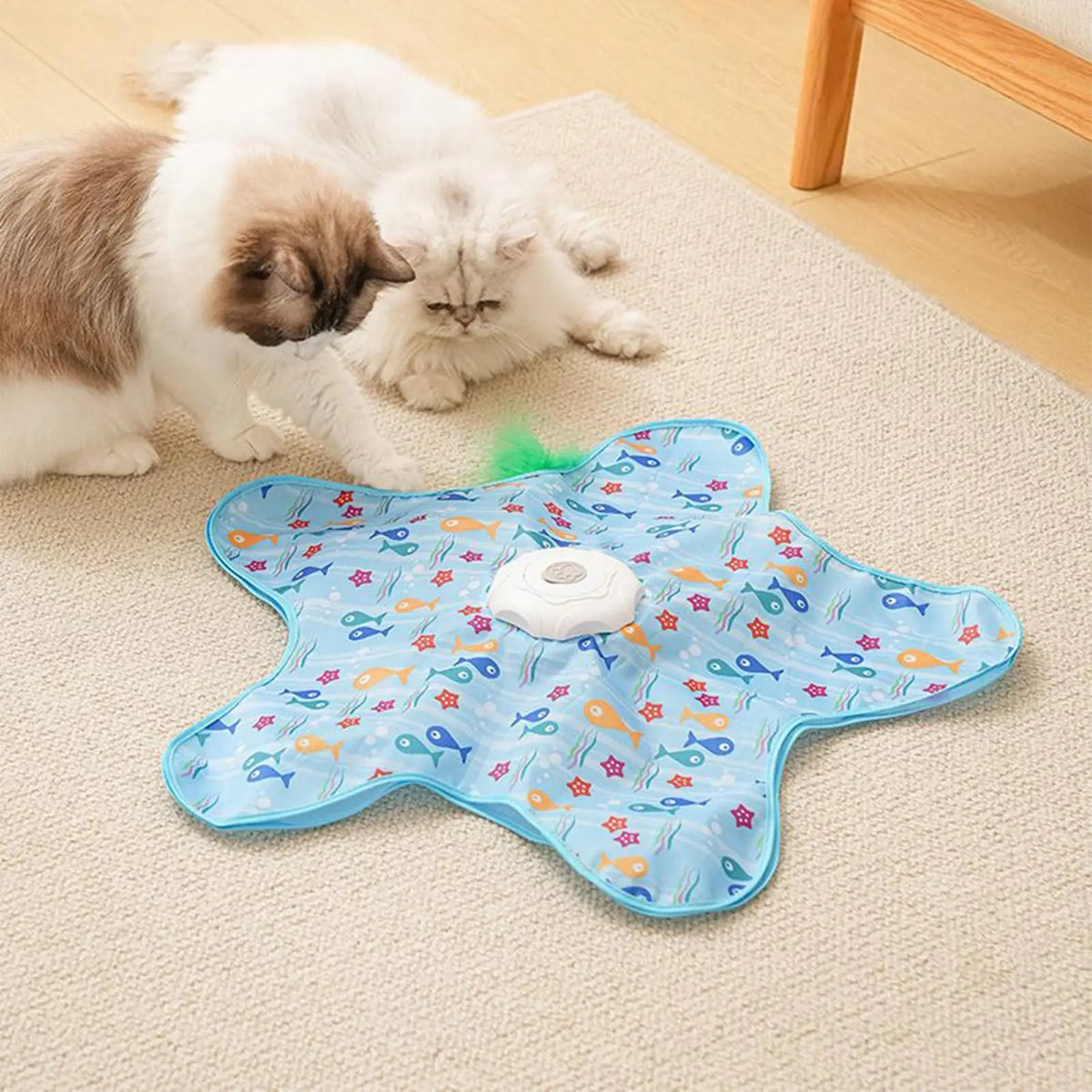 Automatisches Katzenspielzeug für drinnen: Sternförmiges, bissfestes Spielzeug mit drei Geschwindigkeitsstufen für Zahnung, Jagd, geistige Stimulation und Training