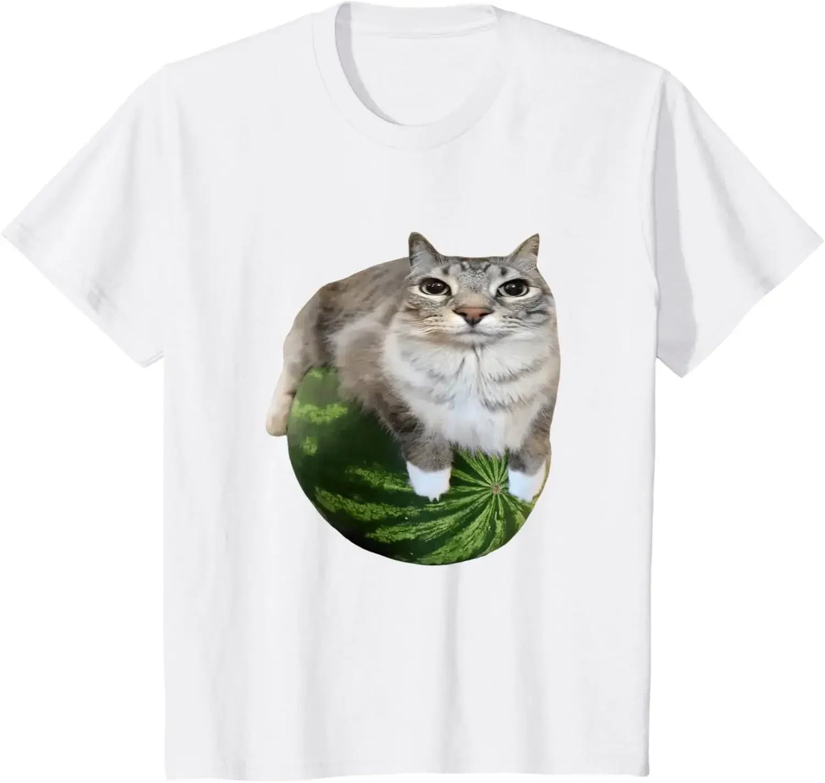 90er Jahre Y2k Watermelon Cat Silly Cat Meme T-Shirt Ein urkomisches Watermelon Print Shirt ist ein stilvolles Top-T-Shirt für Damen