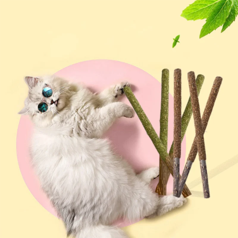Katzen-Minzstöcke zur Zahnreinigung, Bissresistente Katzenspielstäbe, Beruhigender Snack für Katzen