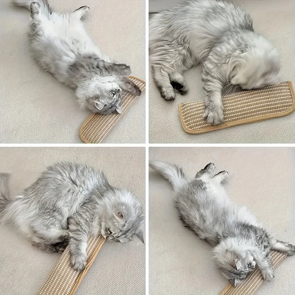 Katzenspielzeug-Kissen und Kratzmatte für Alleinspiel und Intime Interaktion