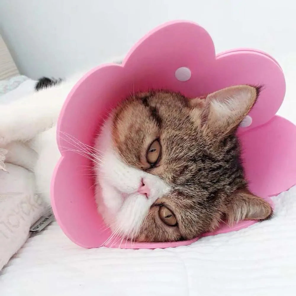 Haustiere Schutz halsband Eva weiche Blumen form Anti-Leck Katzen Hunde Wundheilung Schutzhülle Anti-Biss Tier bedarf