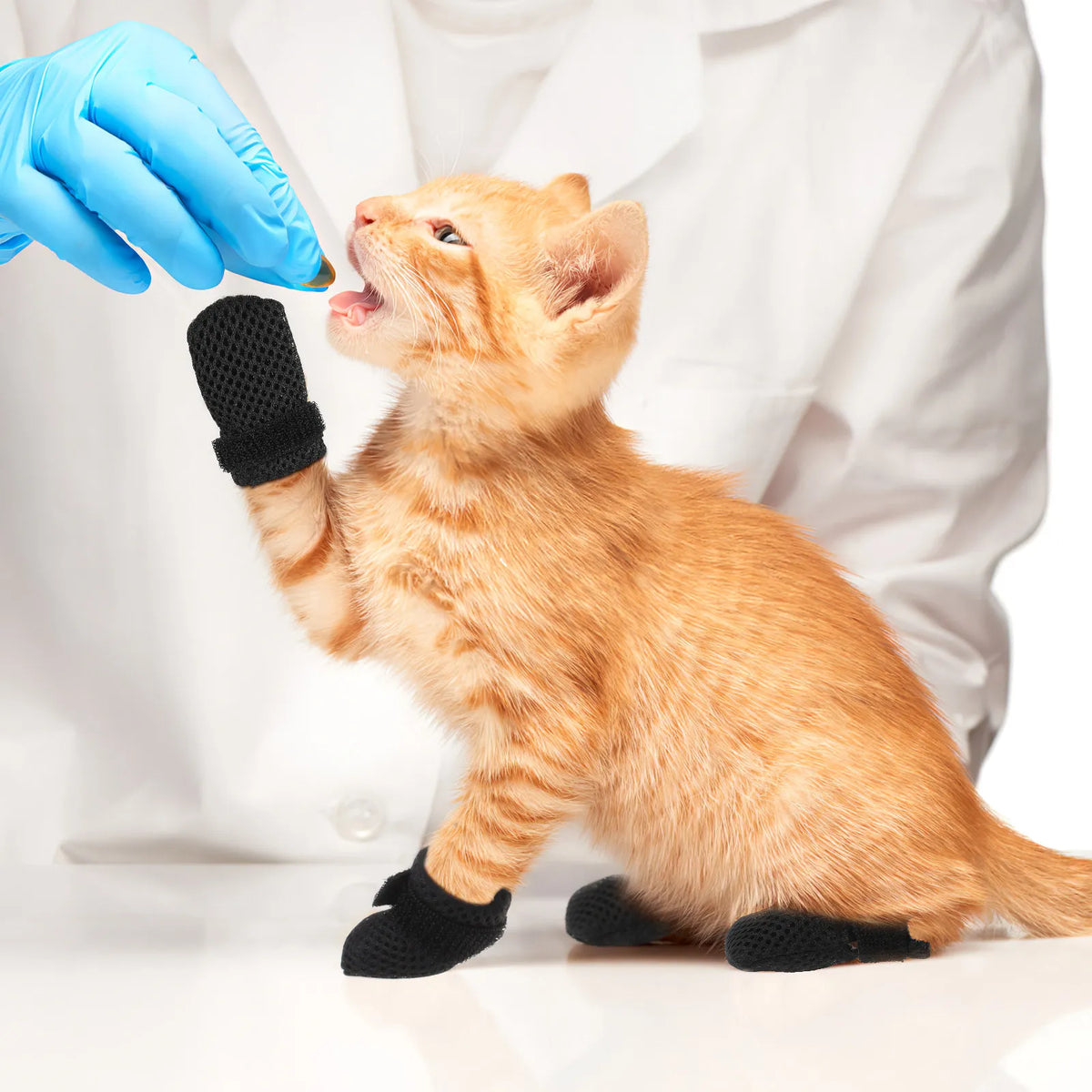 4er-Set Katzenschuhe: Verstellbare Pfotenschützer, Kratzschutz-Krallenkappen, Katzenstiefel, Medikamentenschuhe für Katzen