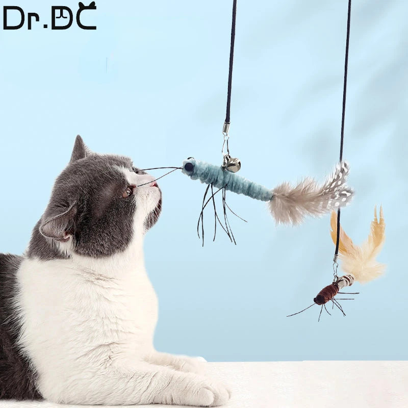 Dr.DC Taquin Chatholdtton tête mit O. Sans Filholdtton Libellule Plume Chat Fournitures Interaktive Amusing Chat Jouet Accessoires