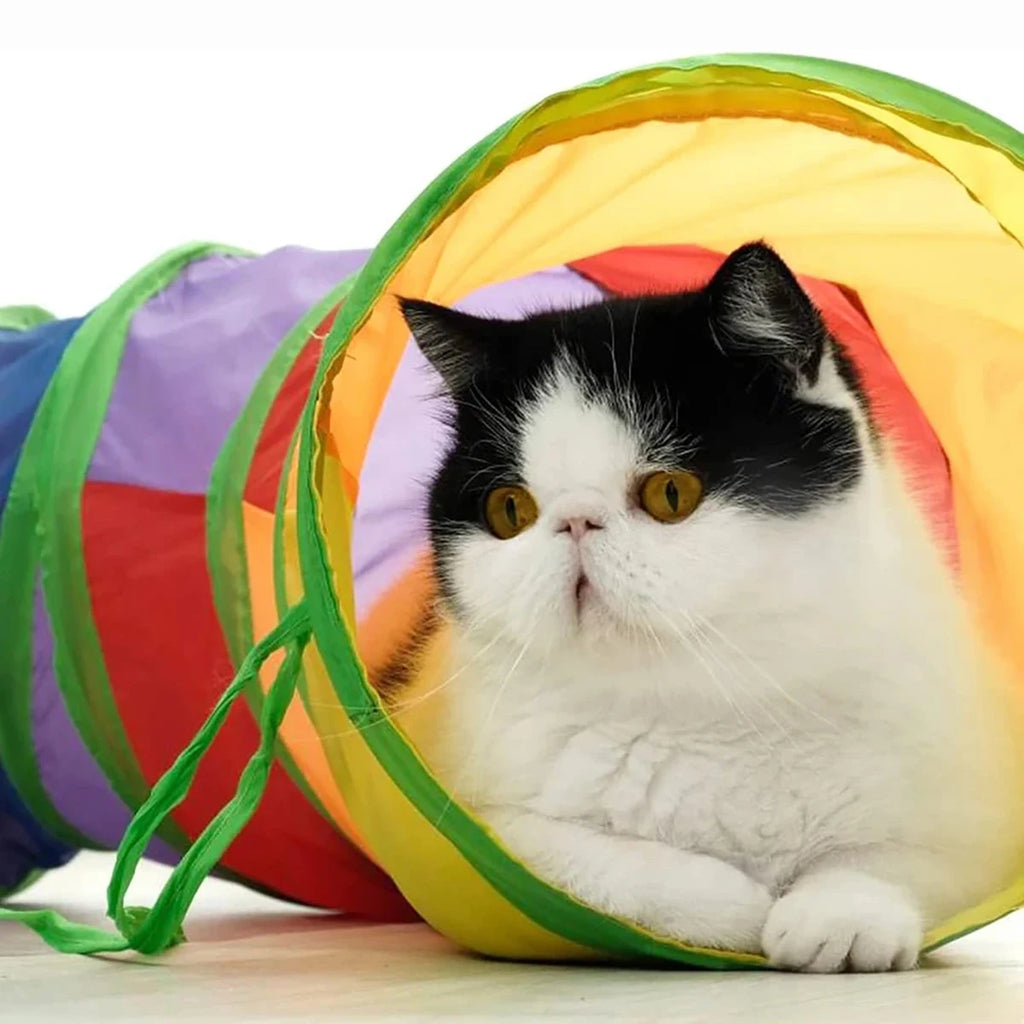Katzentunnelschlauch, faltbar, Katzenspielzeug, Kitty-Training, interaktives lustiges Spielzeug, Tunnel gelangweilt, für Welpen, Kätzchen, Heimtierbedarf, Katzenzubehör