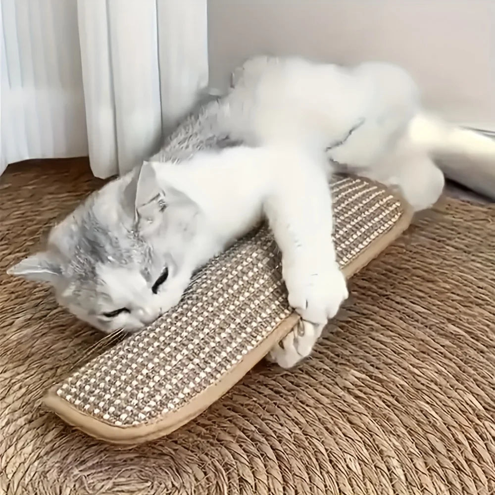 Katzenspielzeug-Kissen und Kratzmatte für Alleinspiel und Intime Interaktion
