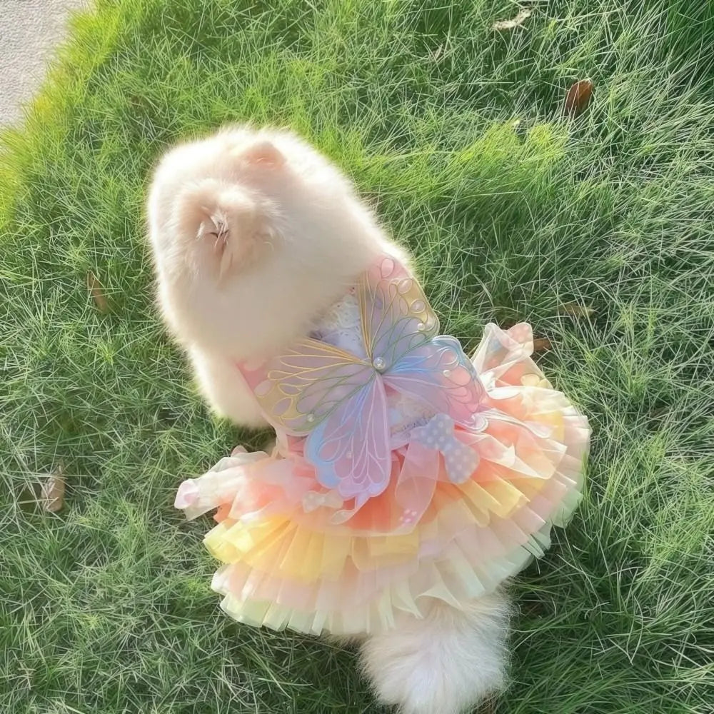 Niedliche Regenbogen-Schmetterlingskleider für Katzen und Hunde, Spitzen-Tutu-Prinzessinnenkleid, leichtes Tüll-Tragekleid für Kätzchen und Welpen