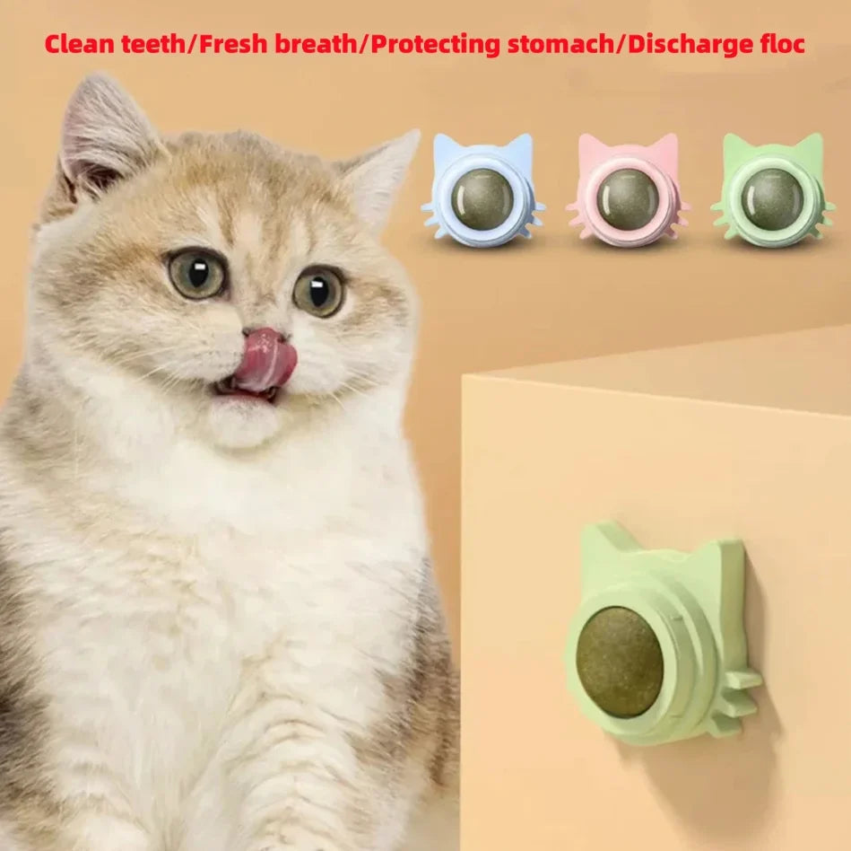 Katzenminze-Spielzeug für Katzen, interaktiver Wand-Spin-Ball für den Innenbereich, natürliche Minze, verbessert die Verdauung, Appetit, Stimulans, Zahnpflege für Katzen