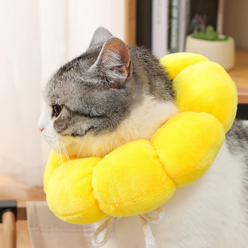Sonnenblumen-Haustier halsband verstellbare Anti-Biss-Chirurgie Anti-Leck-Wundheilung Katzen schutz halsbänder weiches Plüsch-Elizabethan-Halsband