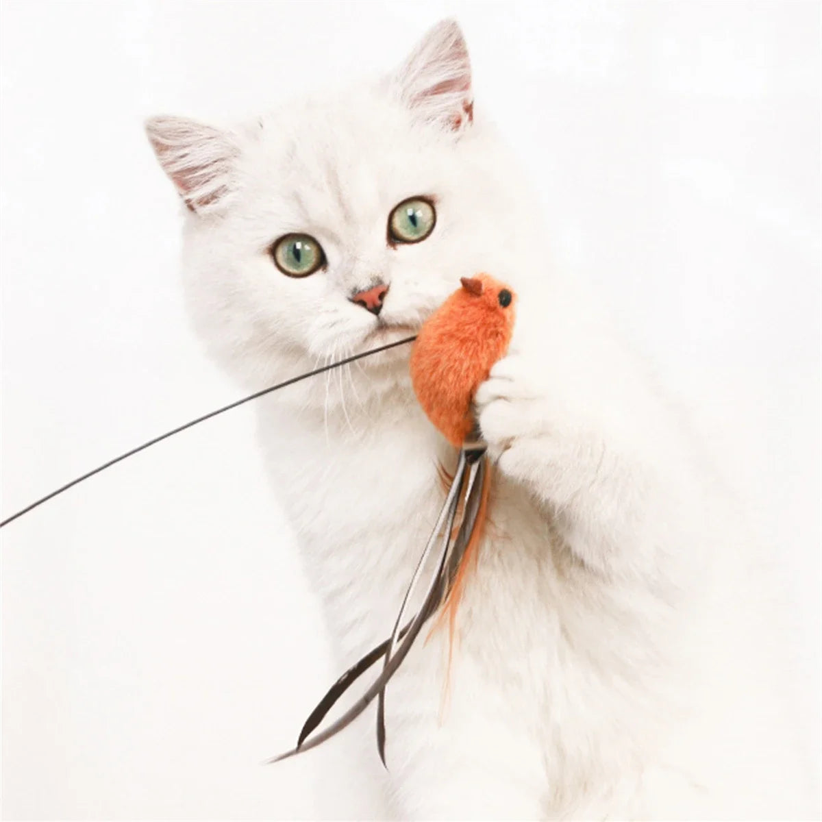 Simuliertes Vogel-Katzenspielzeug, verbessertes Epoxid-Sauger, Stahldraht, langer Stab, Feder, Katze, neckender Stick, Katze, selbst, hoch, keine schädlichen Inhaltsstoffe