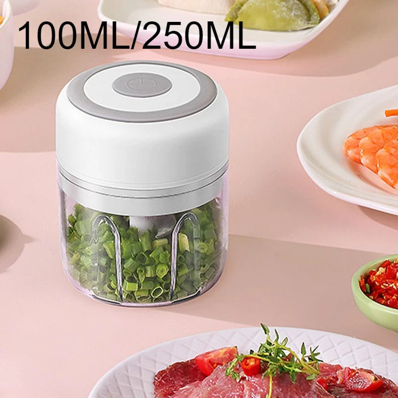Elektrischer Mini-Knoblauchzerkleinerer 100ML/250ML Lebensmittelzerkleinerer Knoblauchpresse USB Tragbarer Kleiner Küchenprozessor für Gemüse