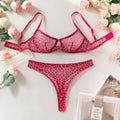 2 Pieces Sexy Leopard Print Transparent Underwire Bra Panty Set Women's Sexy Underwear Thin Seducing Mesh Printed Bralette