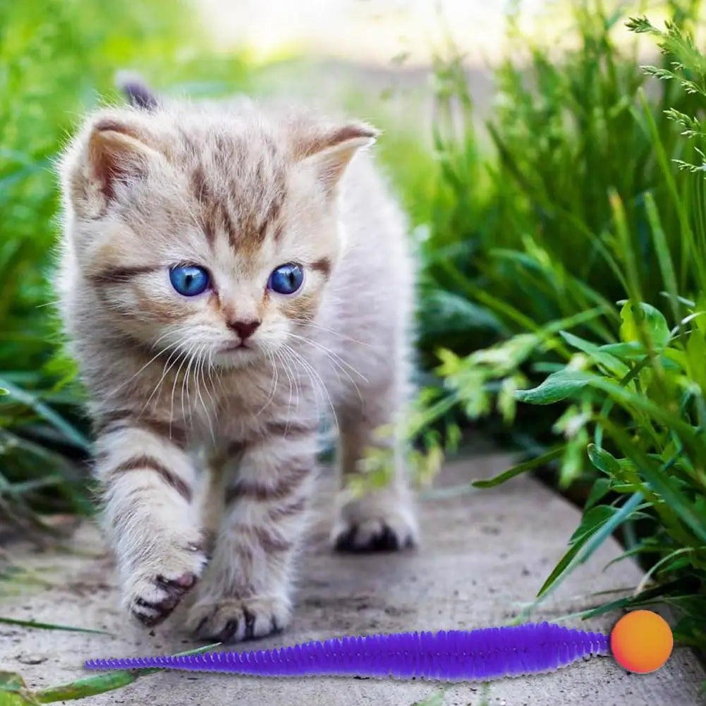 Katze Teaser Bunte Spielzeug Hüpfball Flauschigen Schwanz Simulation Kätzchen Biss Teaser Werkzeug Interaktive Katze Elastische Spielzeug Liefert