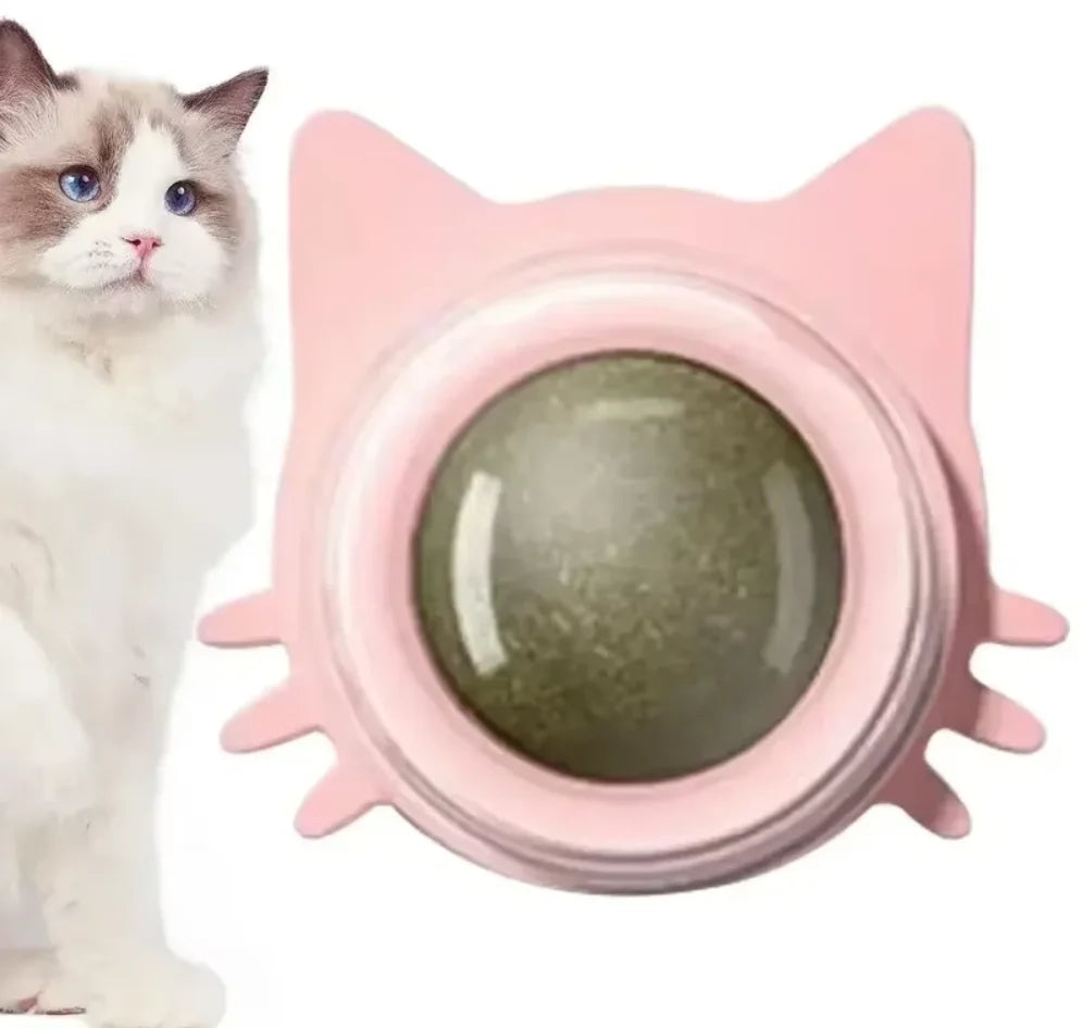 Katzenminze-Spielzeug für Katzen, interaktiver Wand-Spin-Ball für den Innenbereich, natürliche Minze, verbessert die Verdauung, Appetit, Stimulans, Zahnpflege für Katzen
