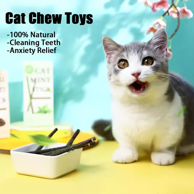 Katzen-Minzstöcke zur Zahnreinigung, Bissresistente Katzenspielstäbe, Beruhigender Snack für Katzen