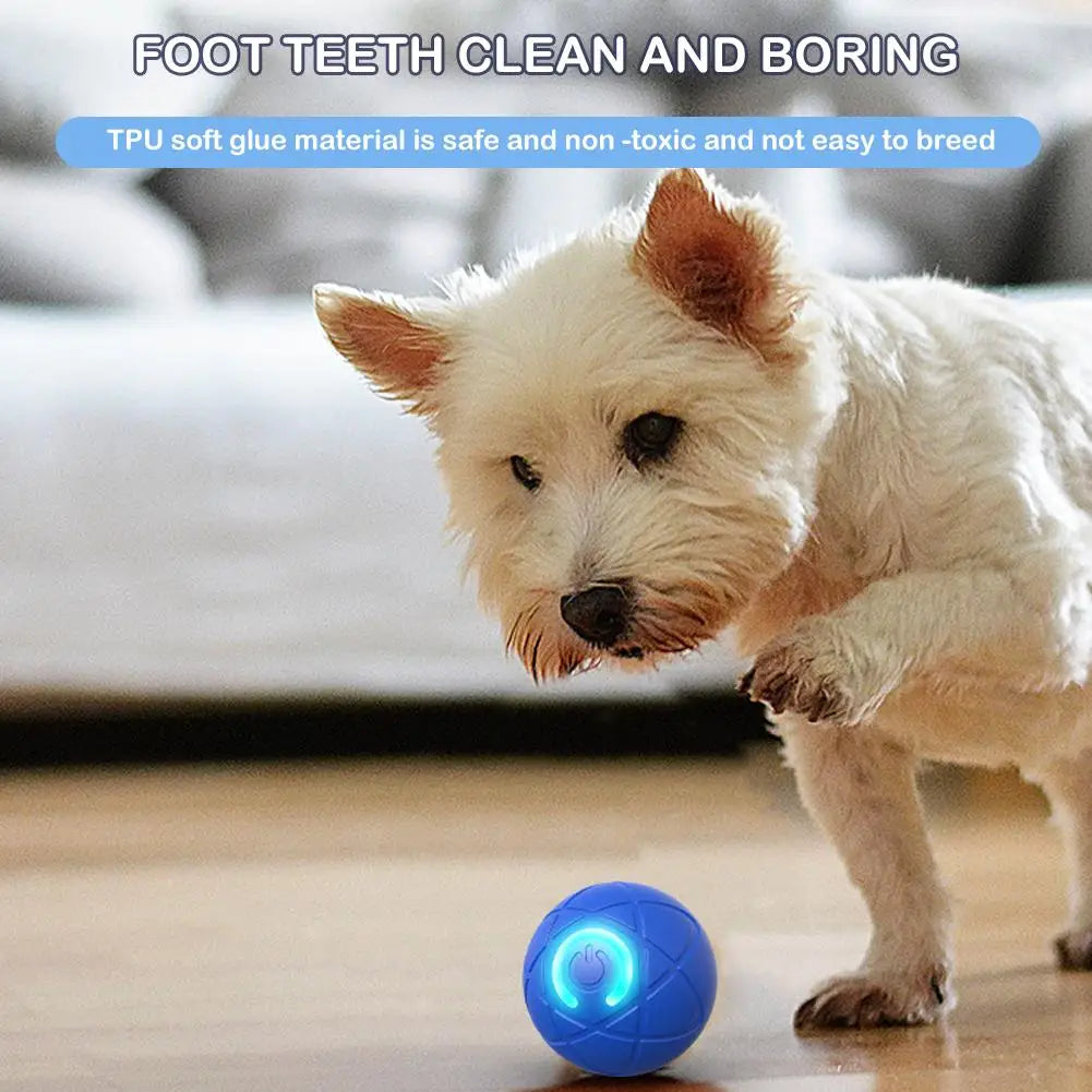 Elektronisches interaktives Haustierspielzeug, intelligenter Hundespielzeugball, USB, automatisch bewegend, hüpfend, für Welpen, Geburtstagsgeschenk, Katzenprodukte, Blau, Orange