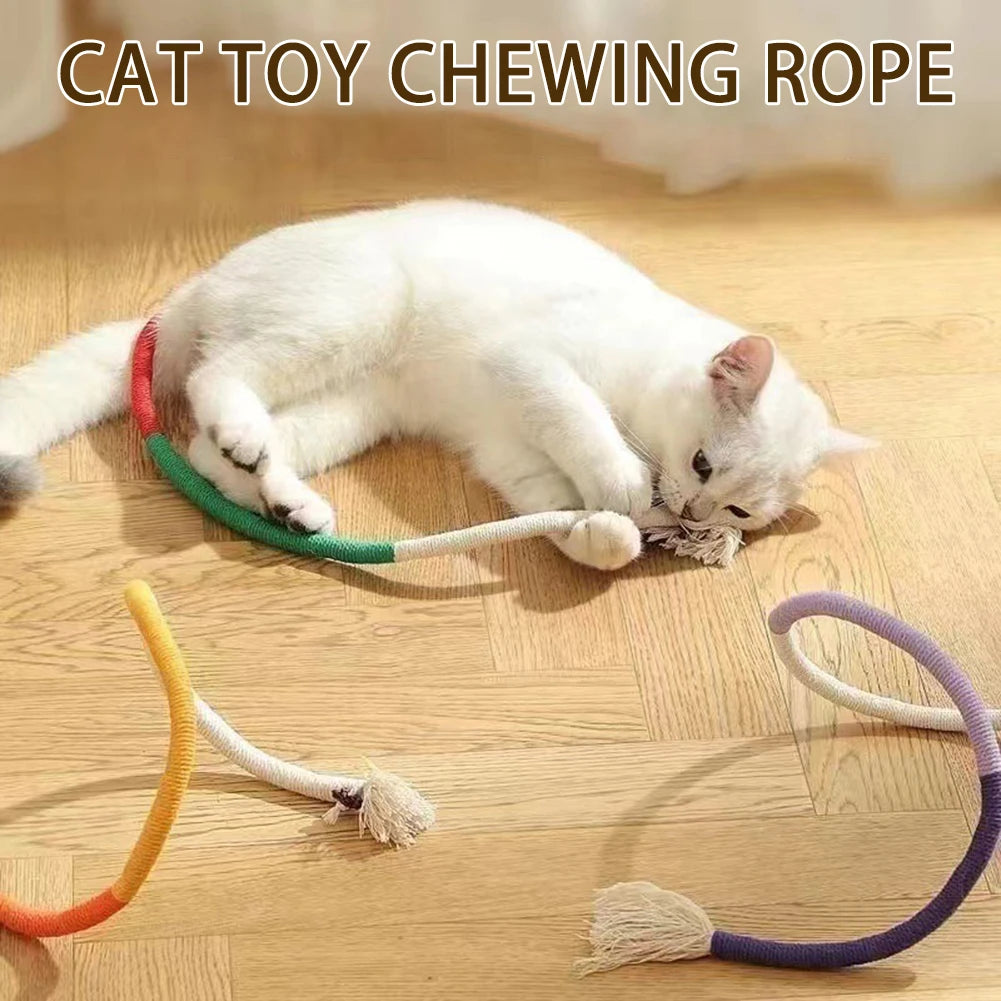 3 Stück Katzenspielzeug, Kauseile, interaktives Molar-Baumwollseil-Spielzeug, Silvervine Katzenspielzeug, Spielspielzeug für Kätzchen mit sauberem Mund, Heimtierbedarf