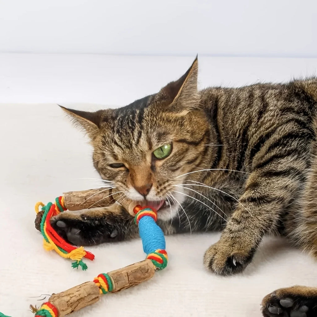2-teiliges Spielzeug, das Katzen spielt anzieht – ein natürliches Katzenspielzeug aus Seil, das zum Kauen und zur Zahnpflege verwendet wird
