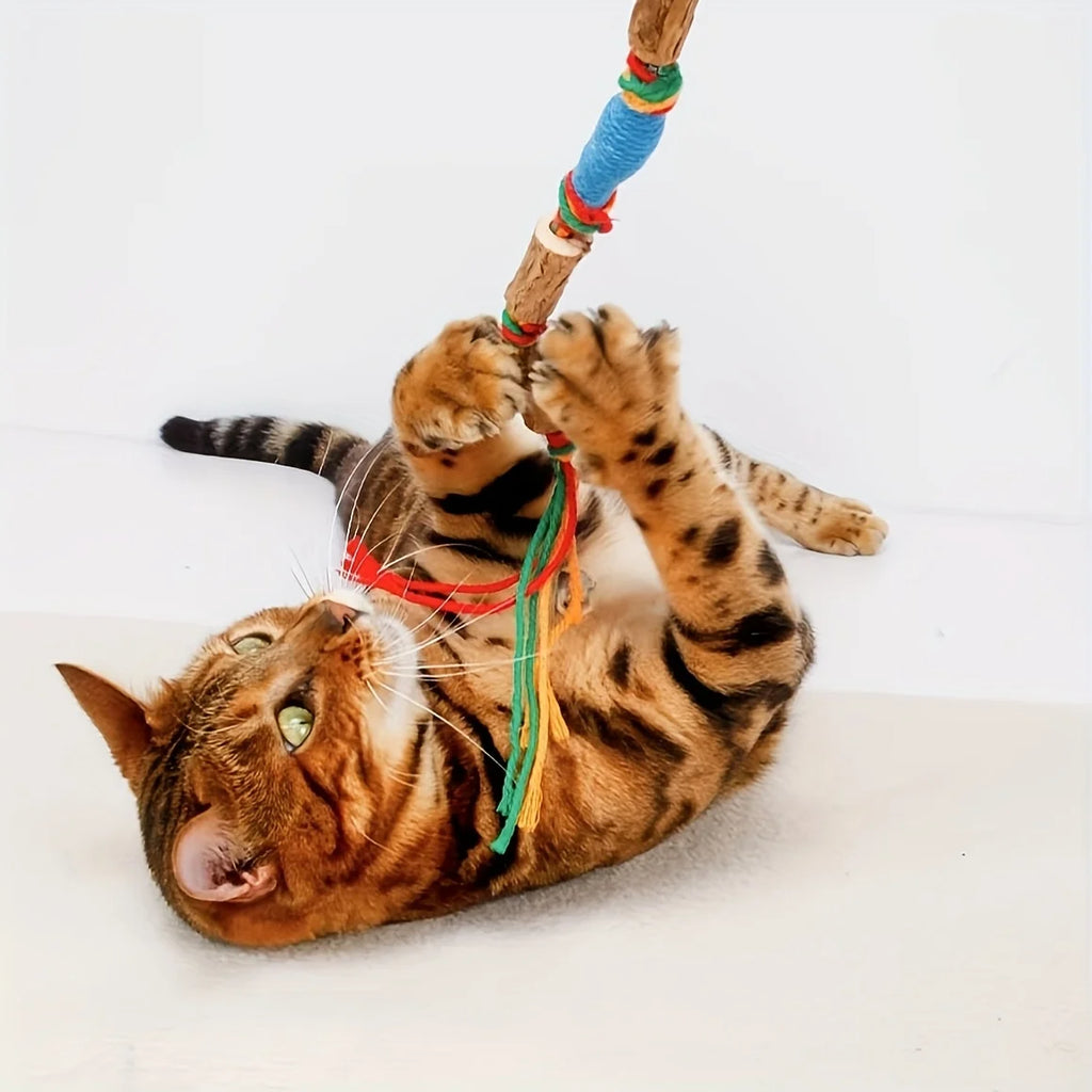 2-teiliges Spielzeug, das Katzen spielt anzieht – ein natürliches Katzenspielzeug aus Seil, das zum Kauen und zur Zahnpflege verwendet wird
