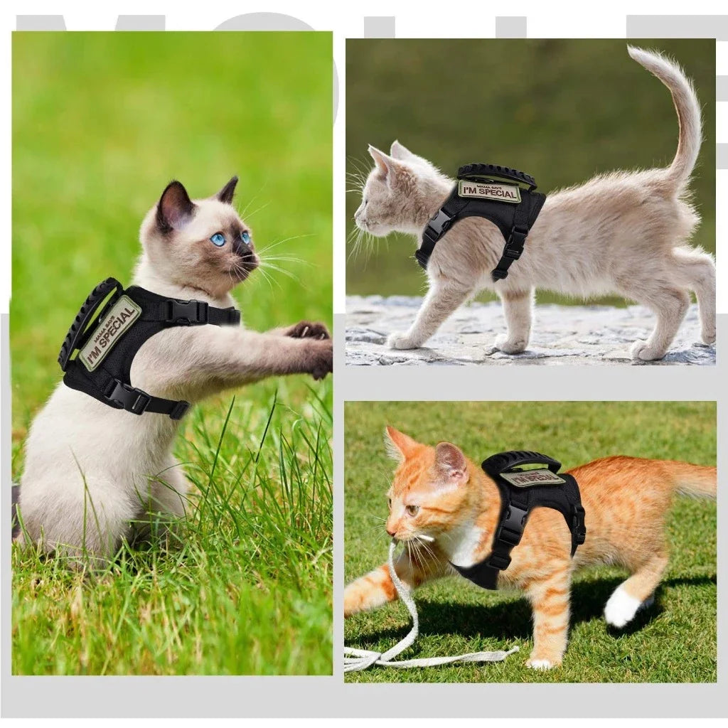 Katzen-Brustgurt, Leine, atmungsaktiv, für Haustiere, taktische Weste, Welpen-Brustgurt für 3–20 kg große Katzen und Hunde