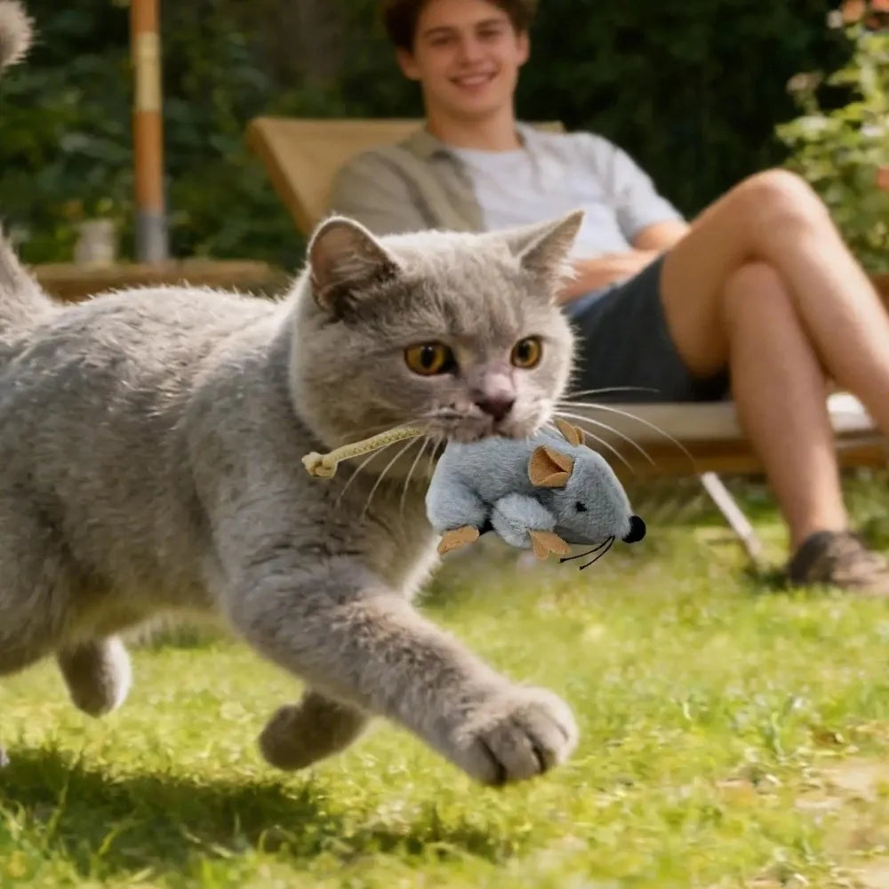 Interaktive Katzenmaus mit Kompaktem Design für Kätzchen und Katzen - Tägliches Spielzeug zum Kauen