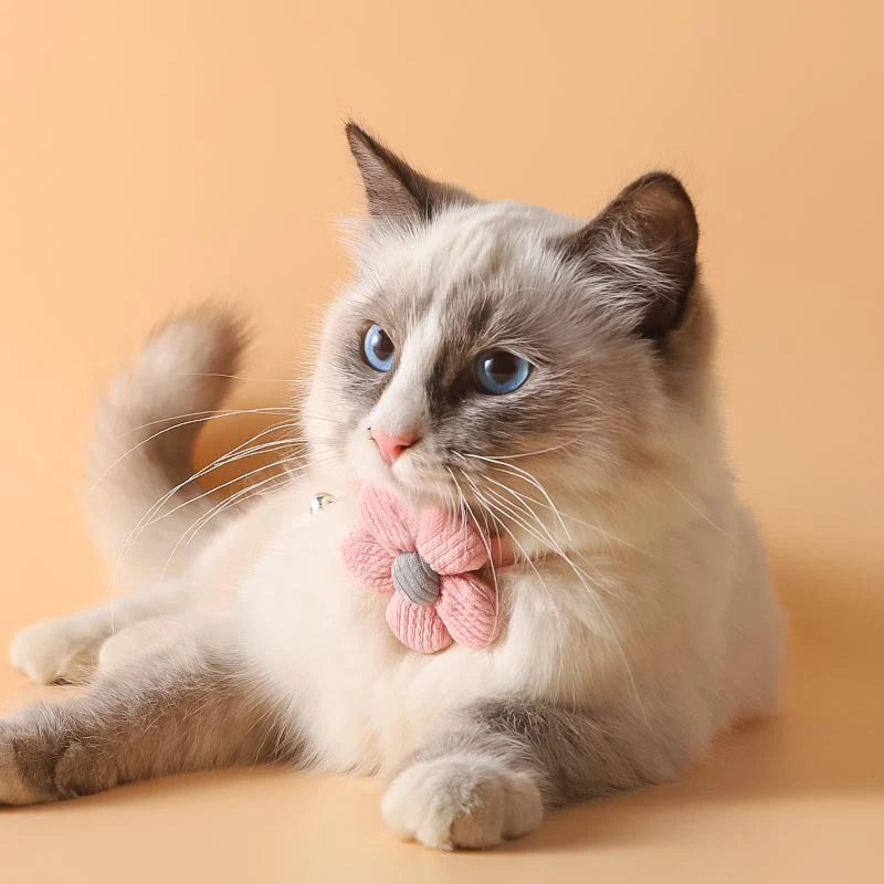 Katze Glocke Kragen bunte verstellbare Schweiß niedlichen Cartoon Haustier Halsband Sonne Blume Fliege weichen Polyester kleinen Hund Katze Halskette