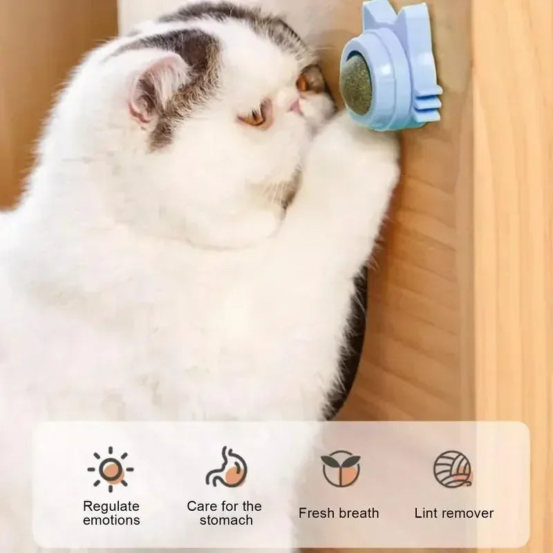 Katzenminze-Spielzeug für Katzen, interaktiver Wand-Spin-Ball für den Innenbereich, natürliche Minze, verbessert die Verdauung, Appetit, Stimulans, Zahnpflege für Katzen