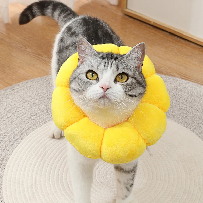 Sonnenblumen-Haustier halsband verstellbare Anti-Biss-Chirurgie Anti-Leck-Wundheilung Katzen schutz halsbänder weiches Plüsch-Elizabethan-Halsband