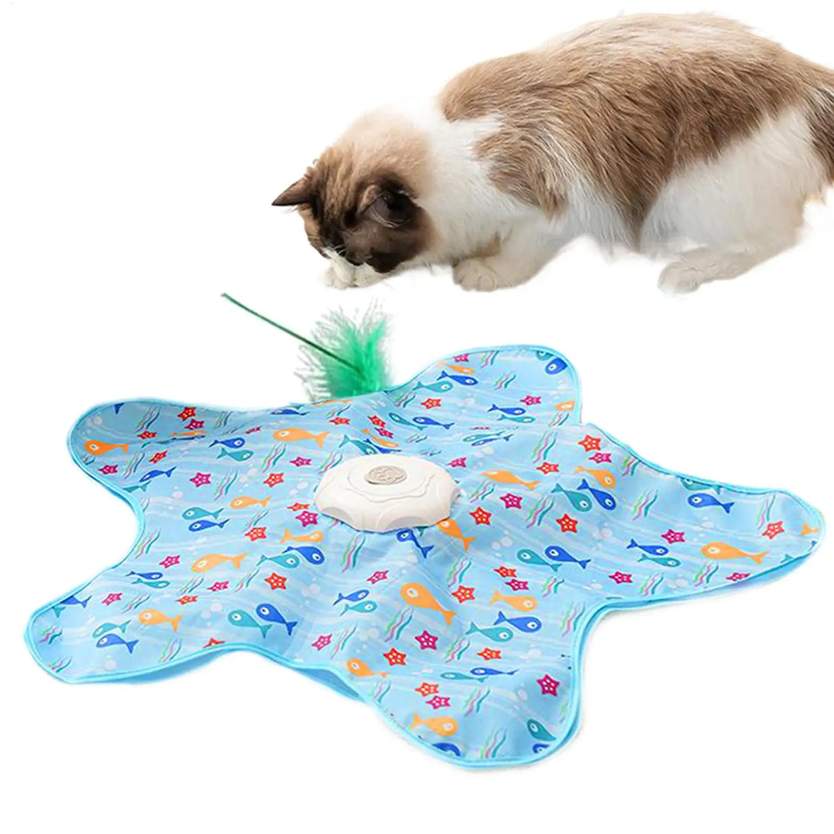 Automatisches Katzenspielzeug für drinnen: Sternförmiges, bissfestes Spielzeug mit drei Geschwindigkeitsstufen für Zahnung, Jagd, geistige Stimulation und Training