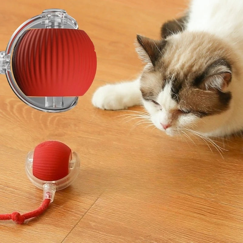 Automatisches Interaktives Katzenspielzeug: Rollender Ball für Hunde und Katzen, Elektrisches Trainingsgerät zur Rattenimitation, Wiederaufladbar