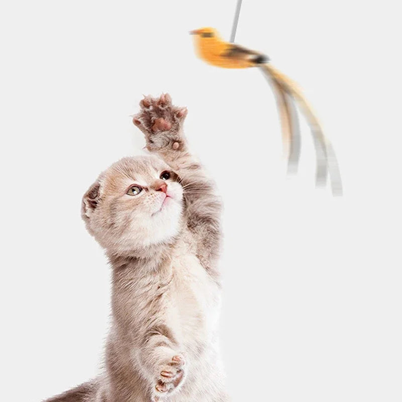 Simuliertes Vogel-Katzenspielzeug, verbessertes Epoxid-Sauger, Stahldraht, langer Stab, Feder, Katze, neckender Stick, Katze, selbst, hoch, keine schädlichen Inhaltsstoffe