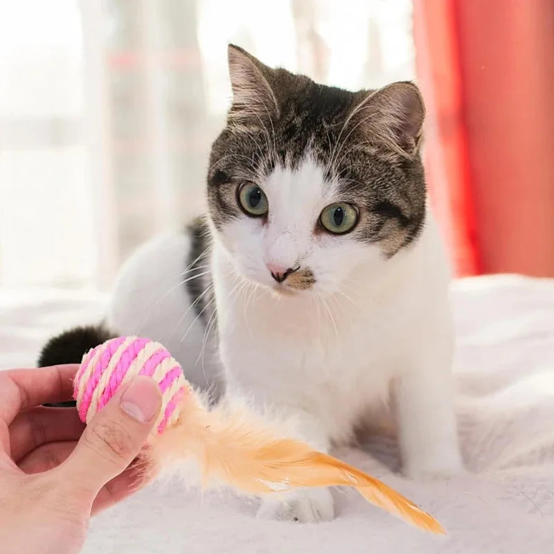 Haustier-Katzenspielzeug, Sisal-Federball, Katzen-Kratzball-Spielzeug, Heimtierbedarf, zufällige Farbe, Nadel, Preppe