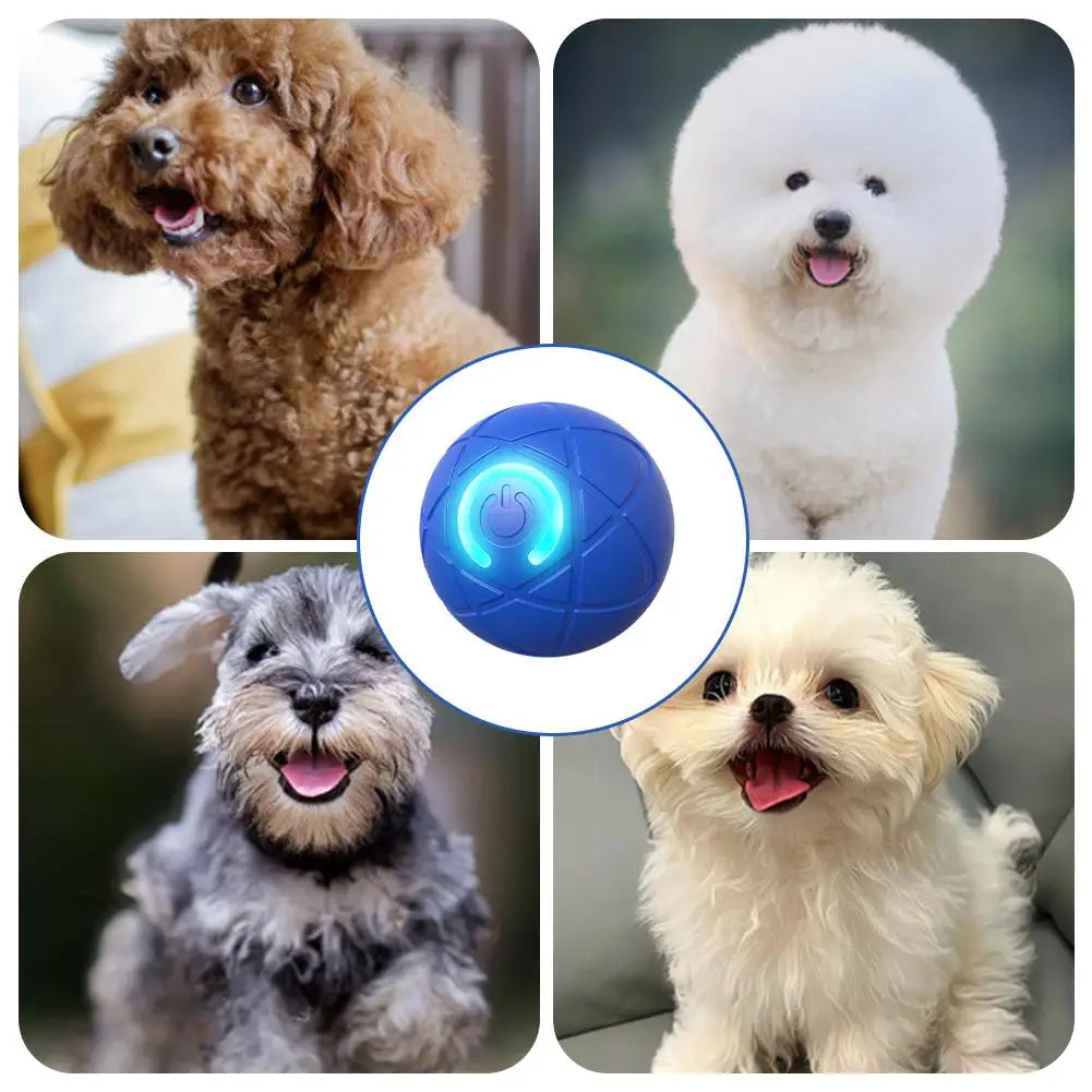Elektronisches interaktives Haustierspielzeug, intelligenter Hundespielzeugball, USB, automatisch bewegend, hüpfend, für Welpen, Geburtstagsgeschenk, Katzenprodukte, Blau, Orange