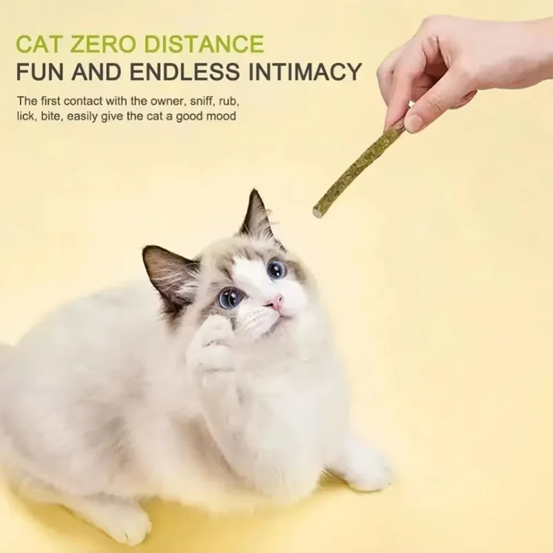 Katzen-Minzstöcke zur Zahnreinigung, Bissresistente Katzenspielstäbe, Beruhigender Snack für Katzen