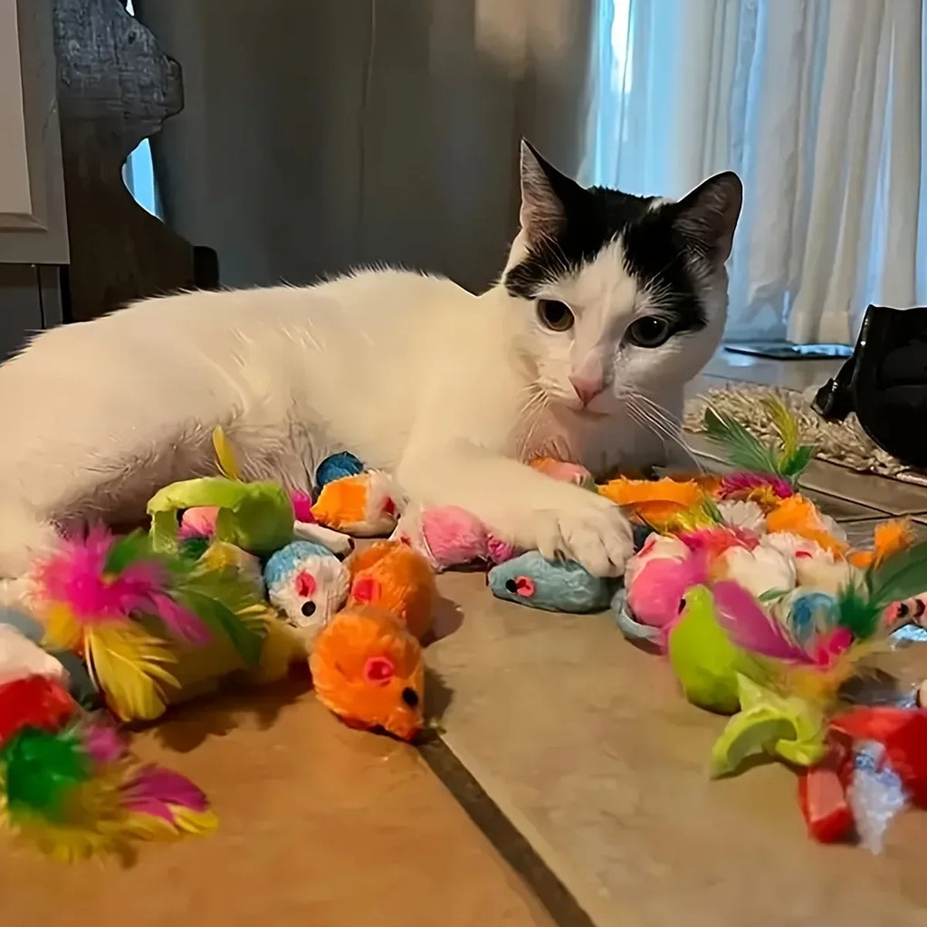 56 Stück/28 Stück/14 Stück Katzenspielzeug, gemischte Packung. Eine Kombination aus verschiedenen Plastikspielzeugen und Plüschtieren, die für mehrere Katzen zum Spielen geeignet sind
