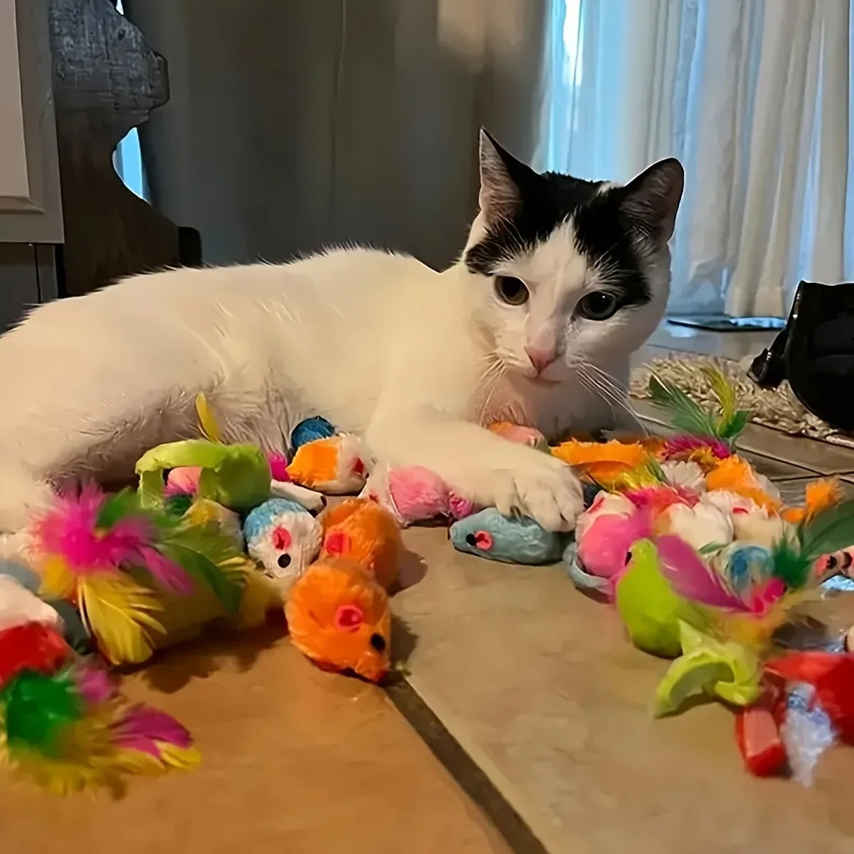 56 Stück/28 Stück/14 Stück Katzenspielzeug, gemischte Packung. Eine Kombination aus verschiedenen Plastikspielzeugen und Plüschtieren, die für mehrere Katzen zum Spielen geeignet sind