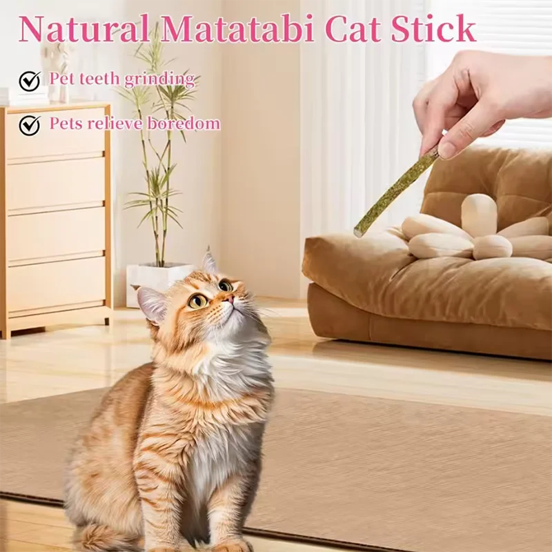 Katzen-Minzstöcke zur Zahnreinigung, Bissresistente Katzenspielstäbe, Beruhigender Snack für Katzen